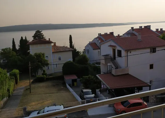 Petricevic 3 *