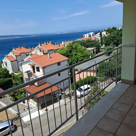 Petricevic 3 *