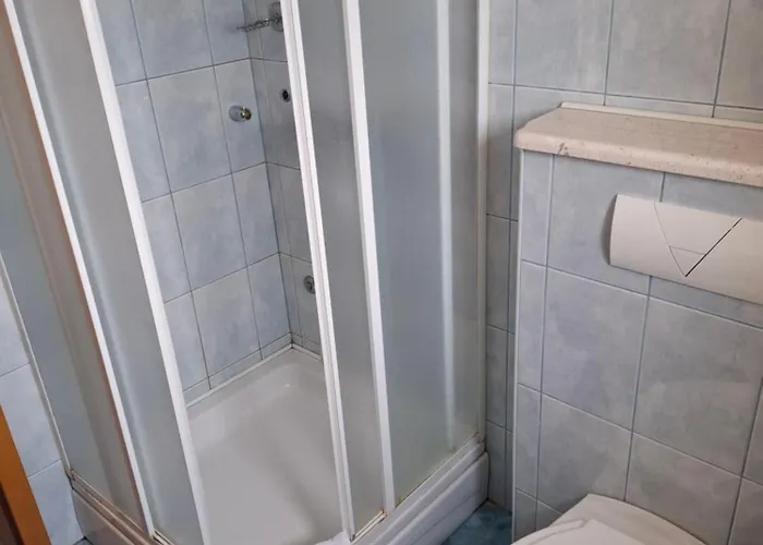 Apartment Petricevic 3 *