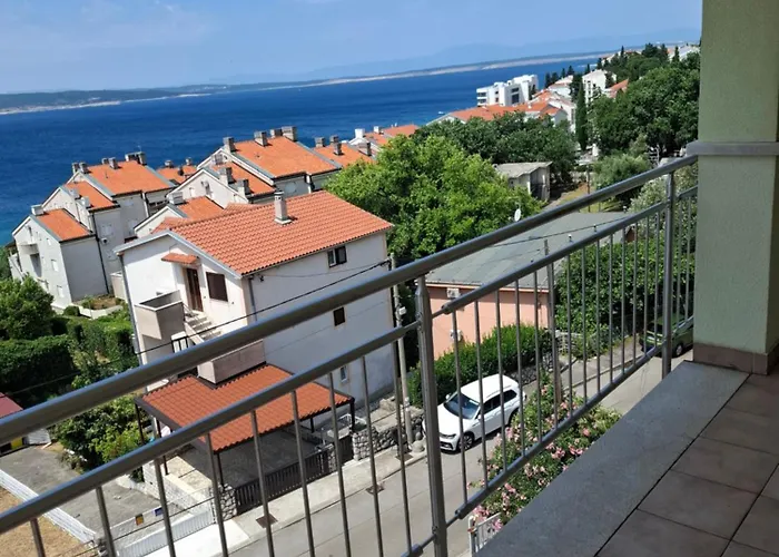 Petricevic 3 *